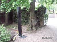 Swing Gates - project portfolio 56
