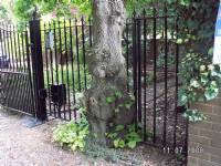 Swing Gates - project portfolio 56