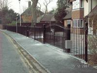 Swing Gates - project portfolio 59