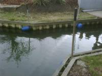 Swing Gates - project portfolio 61