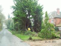 Swing Gates - project portfolio 68