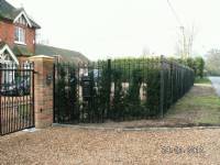 Swing Gates - project portfolio 68